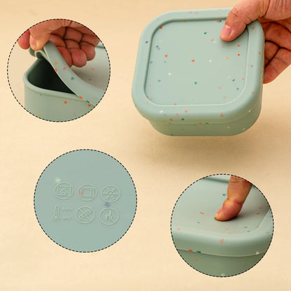 Mini Lunch Box